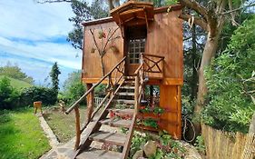 Cabana Pia Paxaro Nigrán